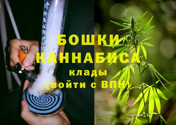 мяу мяу мука Инсар