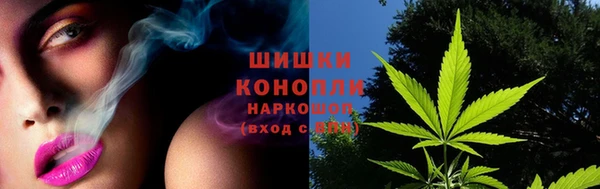 гидропоника Инта
