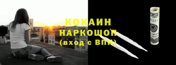гидропоника Инта