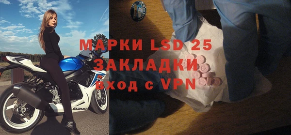 мяу мяу мука Инсар