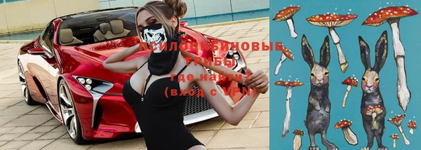 мяу мяу мука Инсар