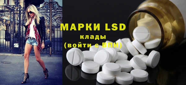гидропоника Инта