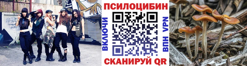Галлюциногенные грибы ЛСД  что такое   Гусев 