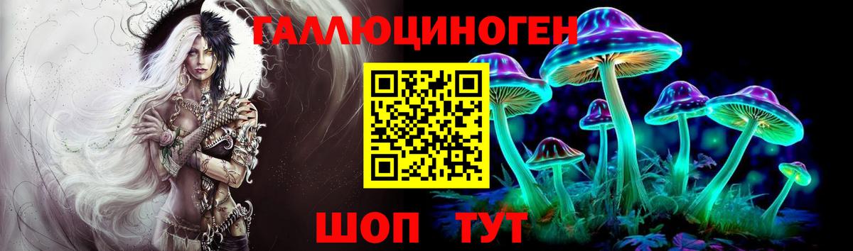 Гусев  Галлюциногенные грибы Psilocybine cubensis  Галлюциногенные грибы прущие грибы  Вход с VPN 