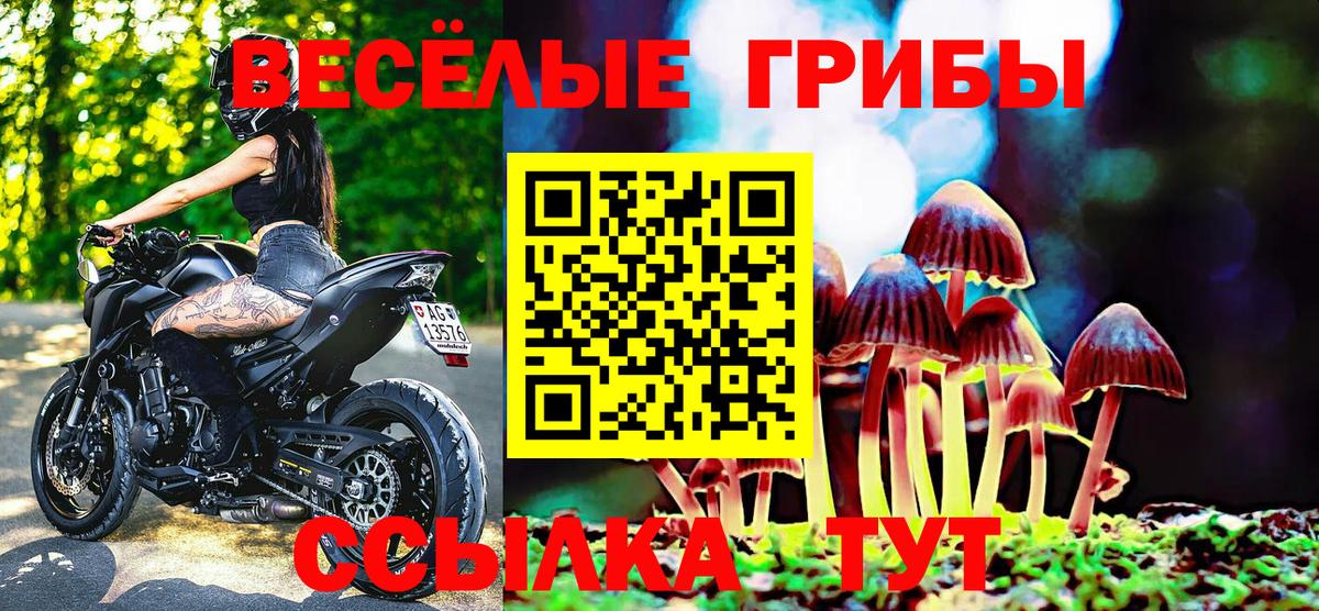 МДМА  КОКАИН  Гусев  Купить наркотик  LSD-25  ГАШИШ  Вход с VPN  Мефедрон кристаллы  Марихуана  ГАШИШ 